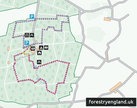 UFO Trail Rendlesham Forest