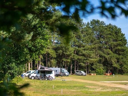 Rendlesham Forest Campsite