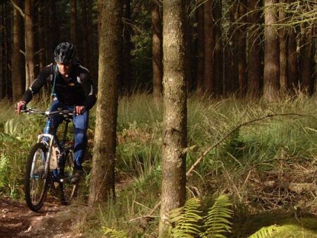 Tunstall Forest